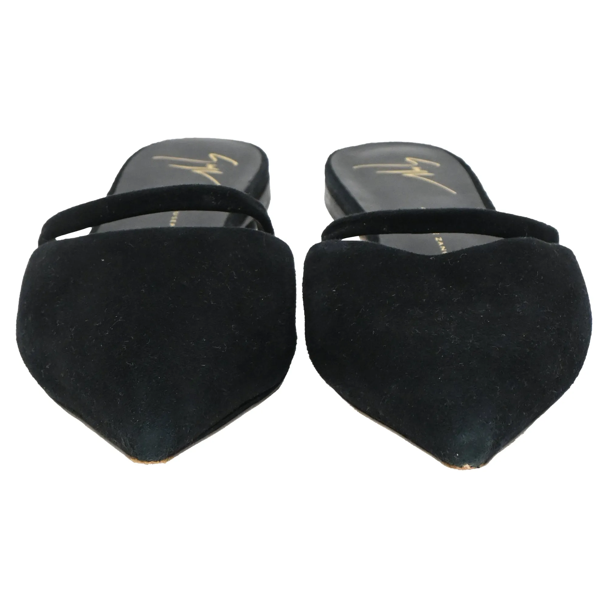 Giuseppe Zanotti Pointed Toe Flats in Black Suede