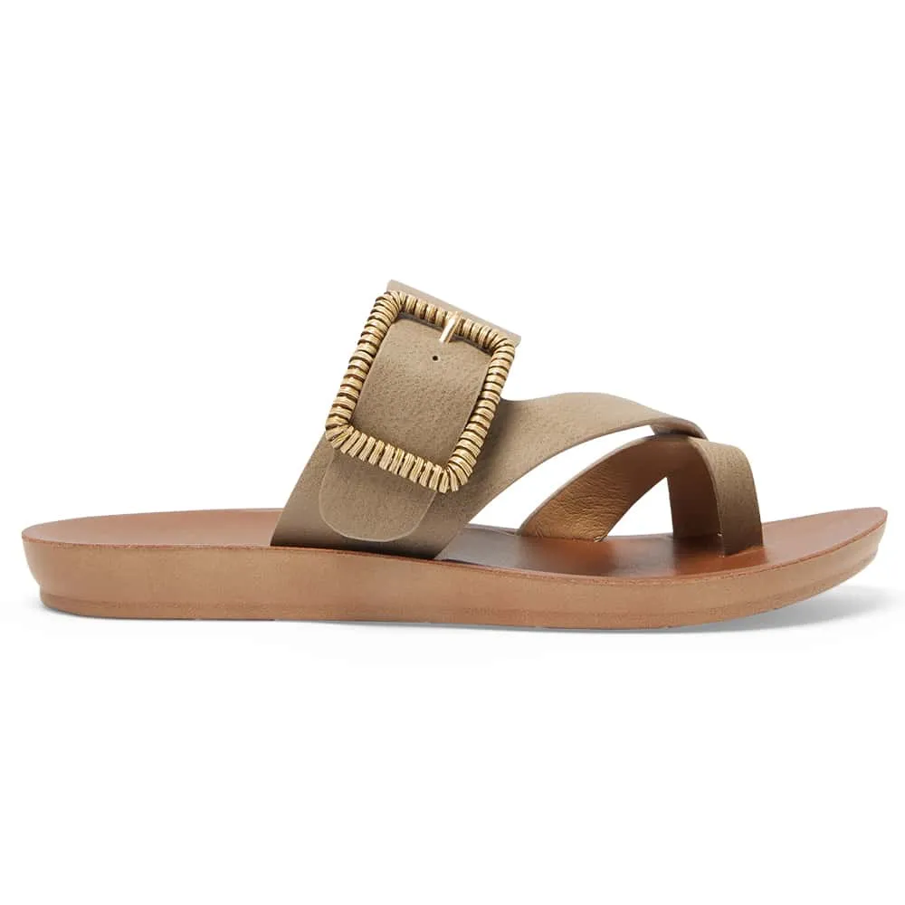 Glide Slide in Taupe Smooth
