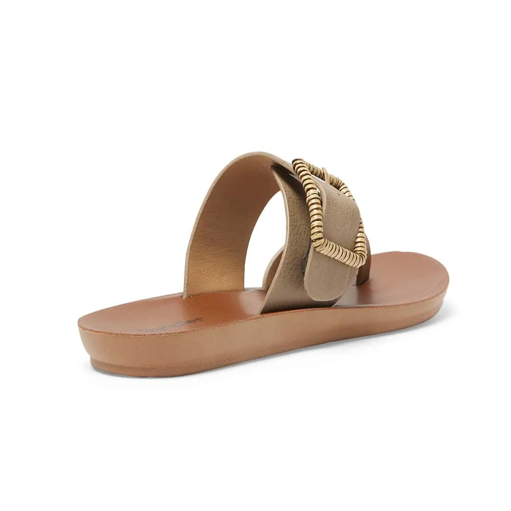 Glide Slide in Taupe Smooth