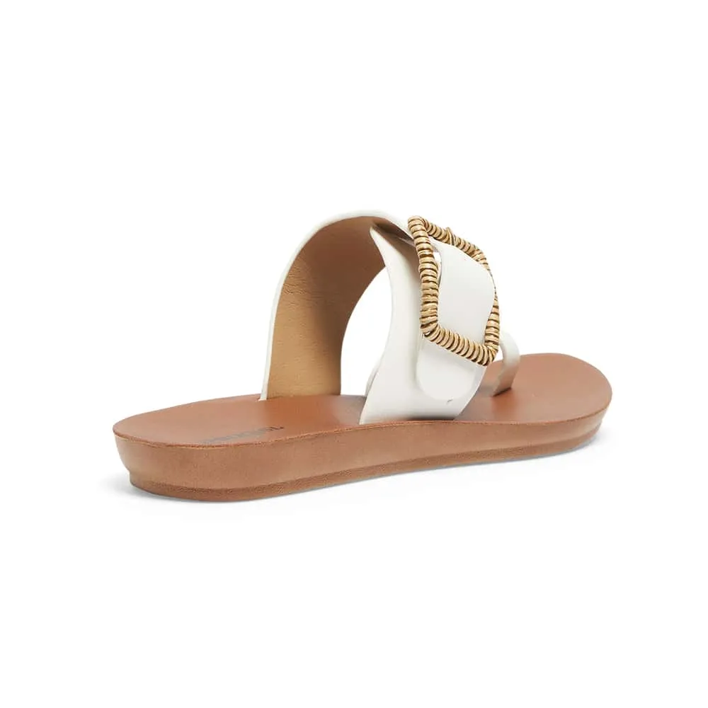 Glide Slide in White Smooth