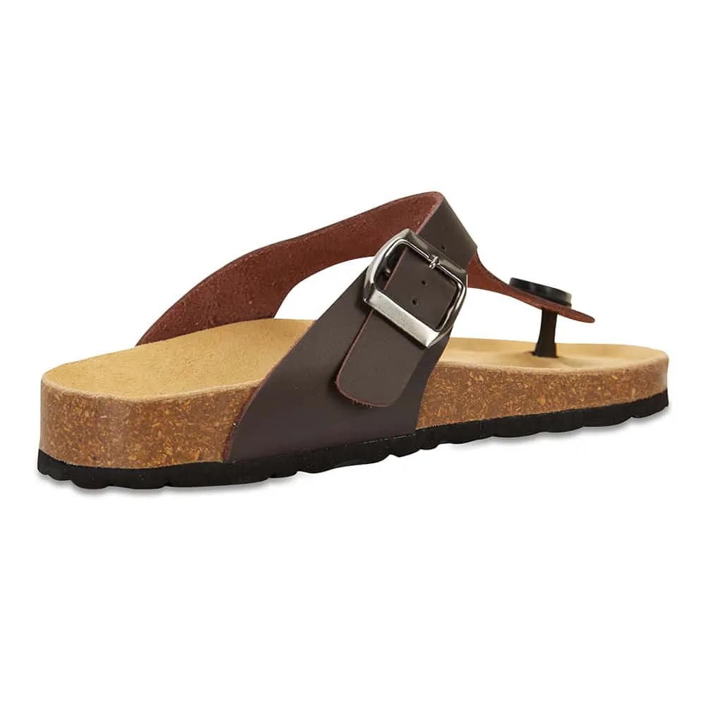 Hippy Sandal in Mocha
