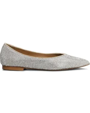 Pointed Toe Flats With Shimmering Embellishments