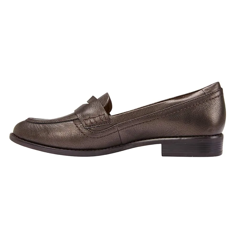 Raven Loafer in Metallic Leather