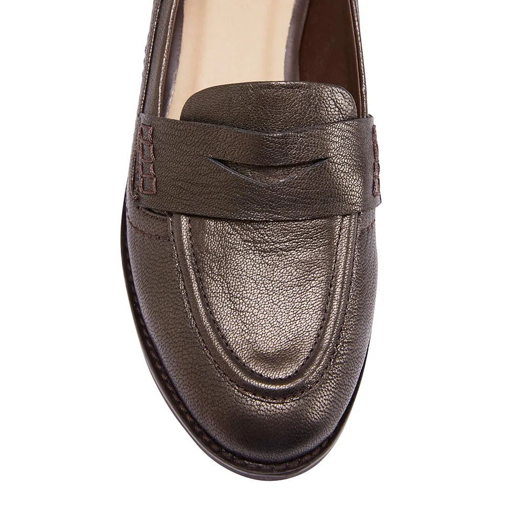 Raven Loafer in Metallic Leather